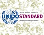 Структура бизнес-плана по стандартам UNIDO